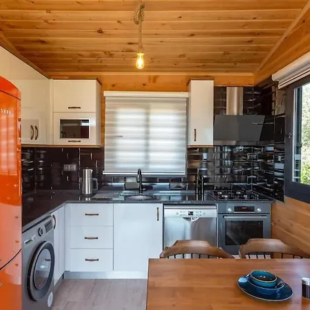 Zeytin Havuzlu Jakuzili Villa Fethiye