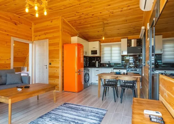 Zeytin Havuzlu Jakuzili Fethiye