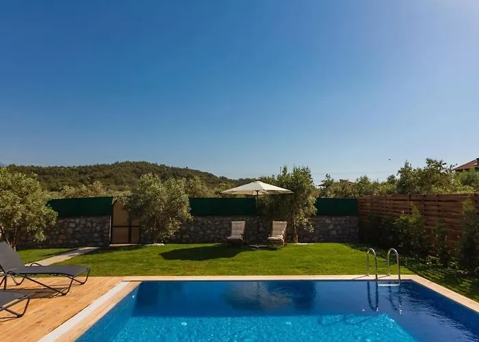 Villa Zeytin Havuzlu Jakuzili *