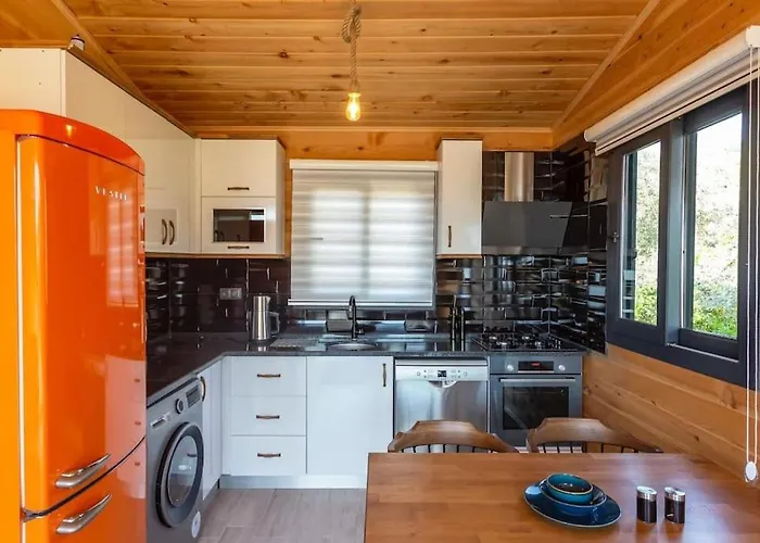 Zeytin Havuzlu Jakuzili Villa Fethiye